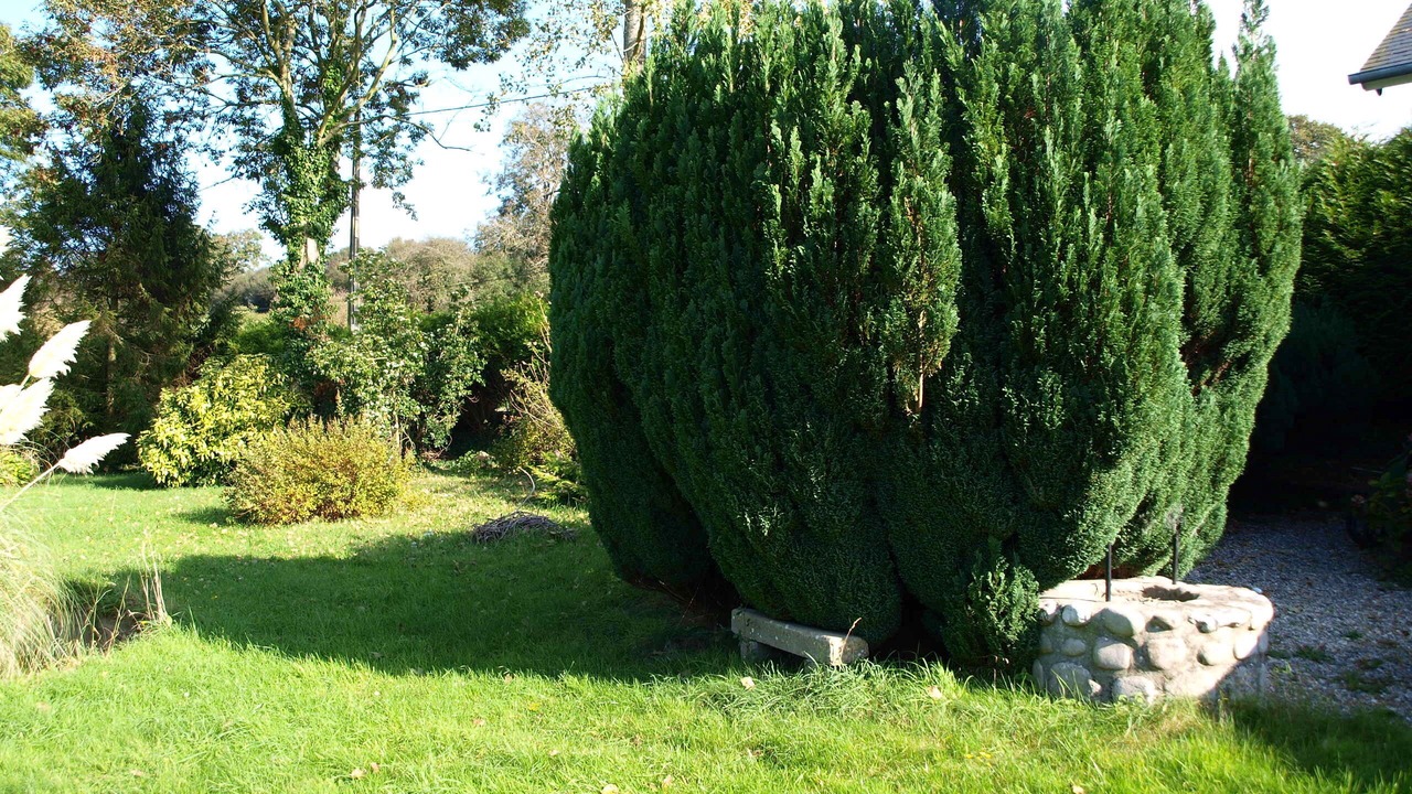 Photo of Outdoor in Veules-les-Roses