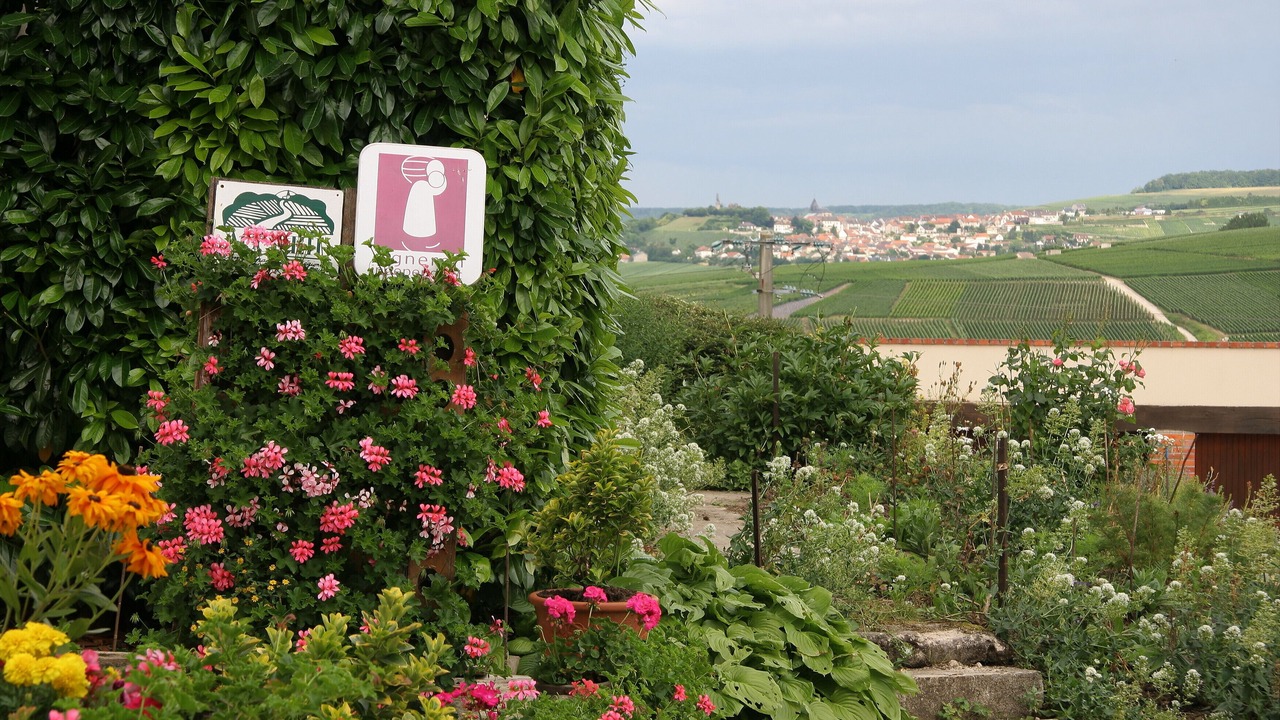 Photo of Outdoor in Villers-sous-Chatillon
