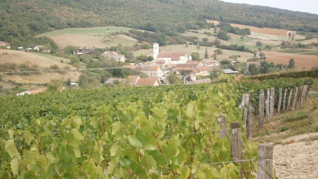 Photo of Outdoor in Sennecey-le-Grand