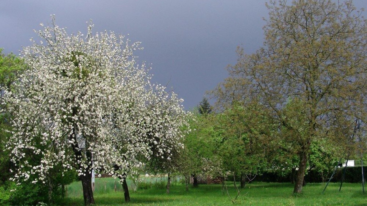 Photo of Outdoor in Sennecey-le-Grand