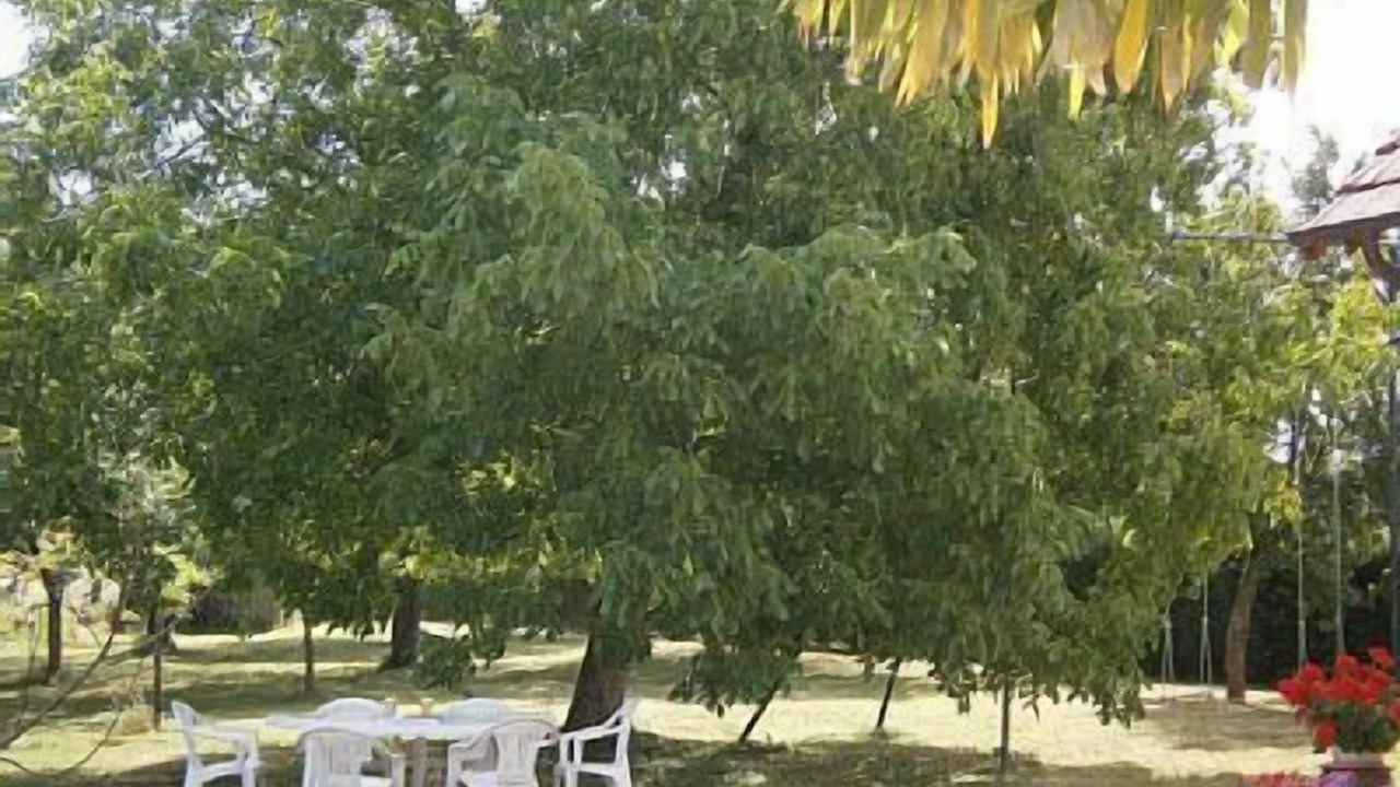 Photo of Outdoor in Sennecey-le-Grand