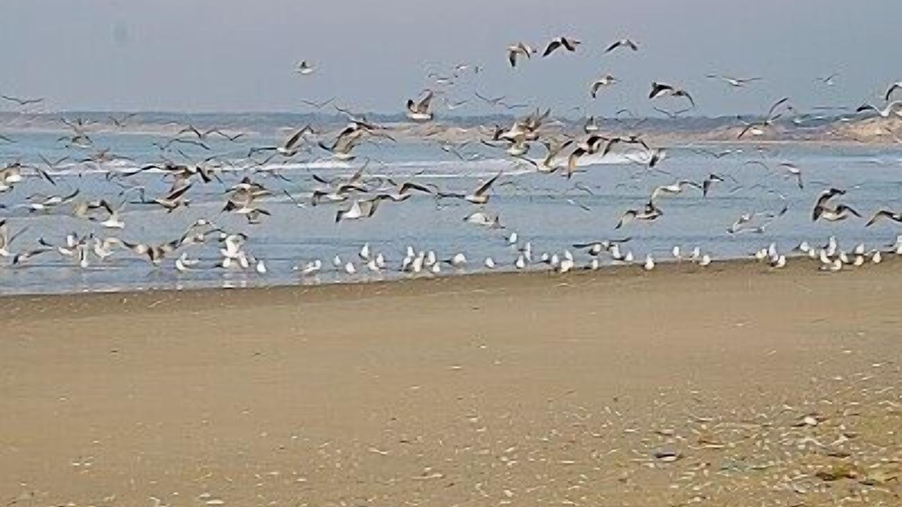 Photo of Others in Le Touquet-Paris-Plage