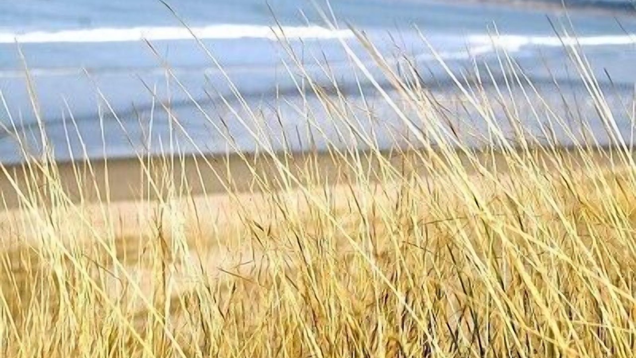 Photo of Others in Le Touquet-Paris-Plage