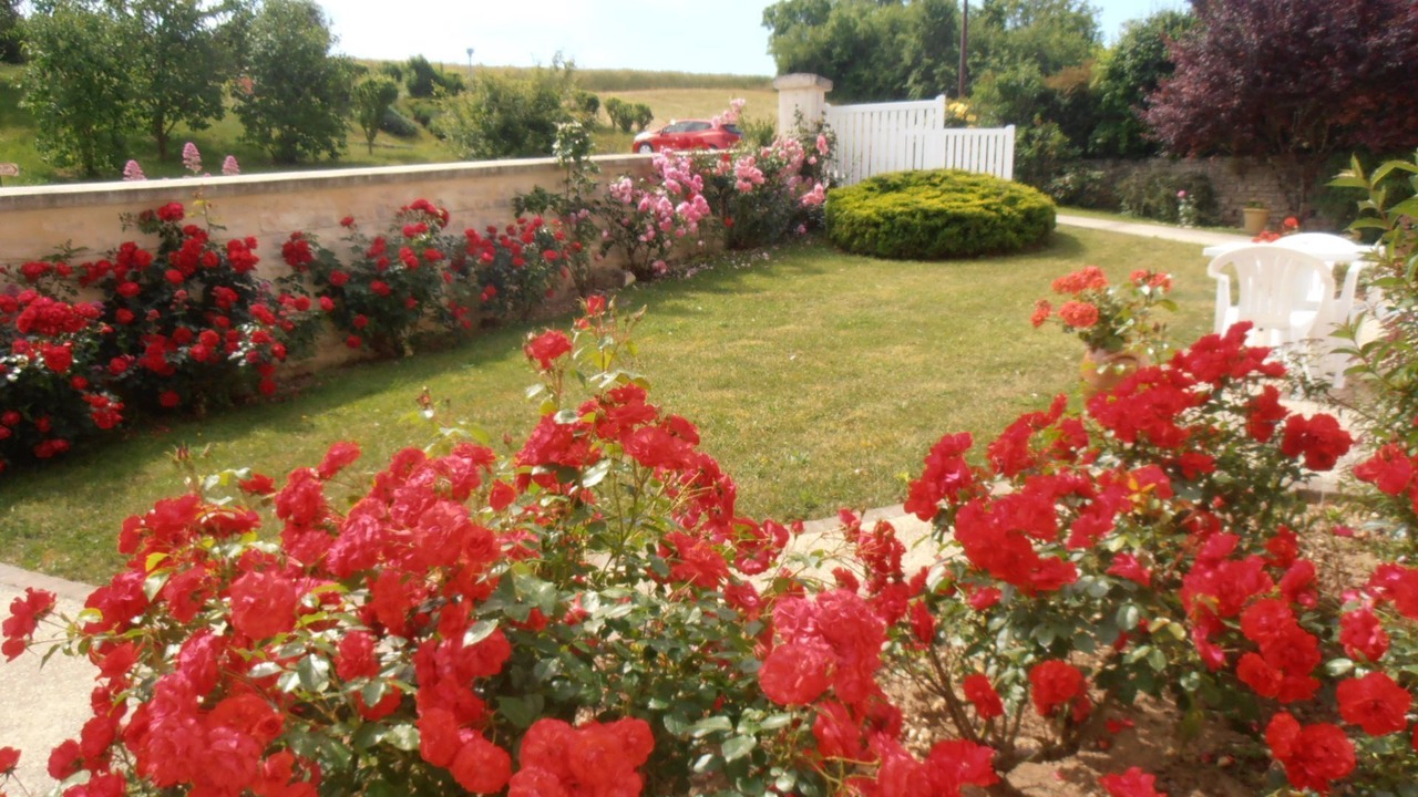 Photo of Outdoor in Roffey