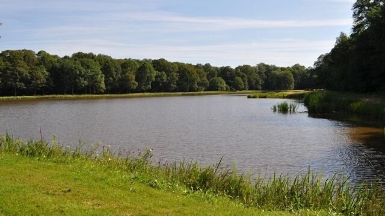 Photo of Outdoor in Mareuil-en-Brie