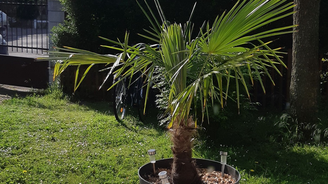 Photo of Outdoor in Sainte-Marie-Kerque
