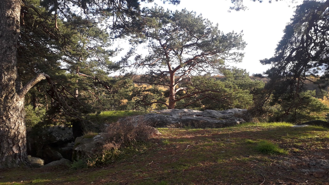 Photo of Outdoor in Royere-de-Vassiviere