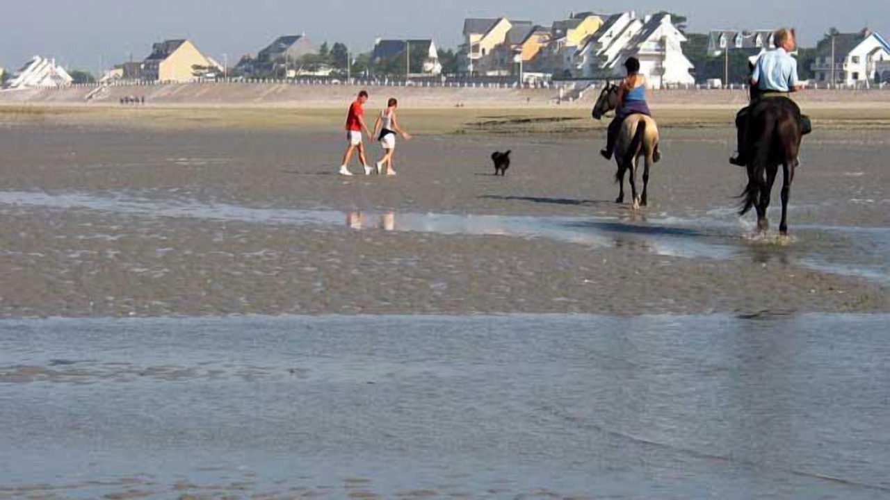 Photo of Others in Le Crotoy