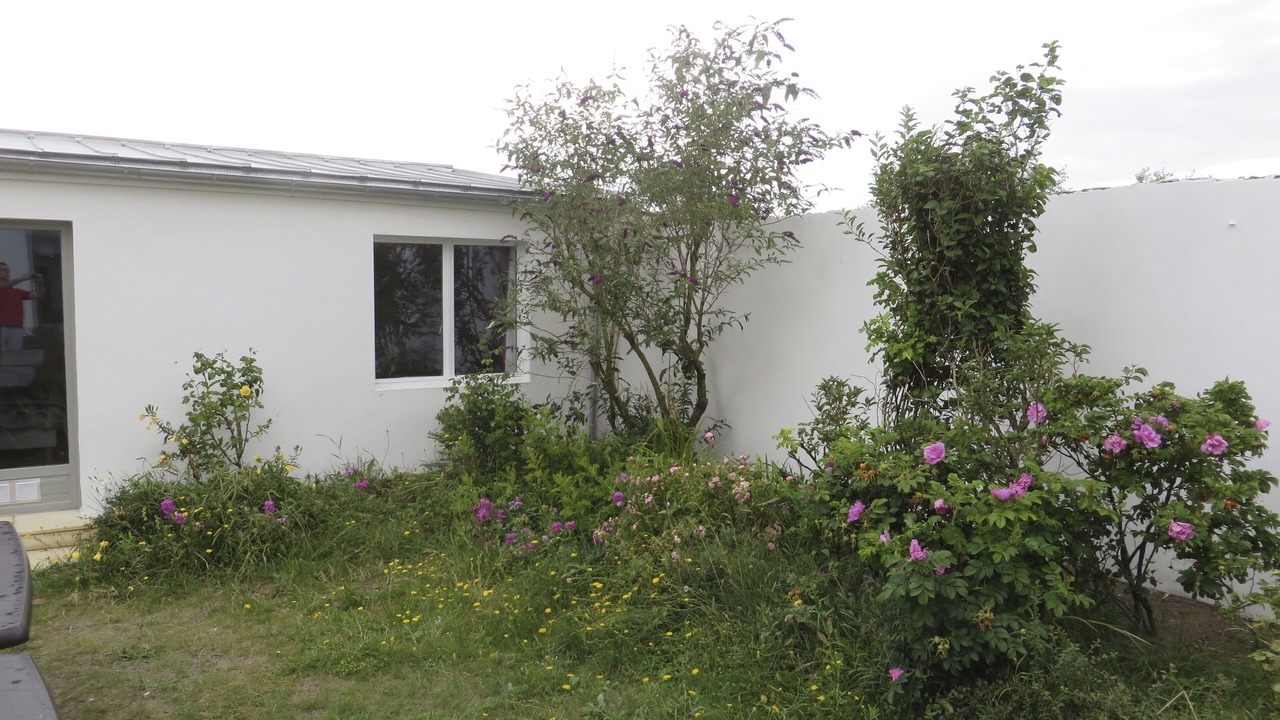 Photo of Outdoor in Le Crotoy