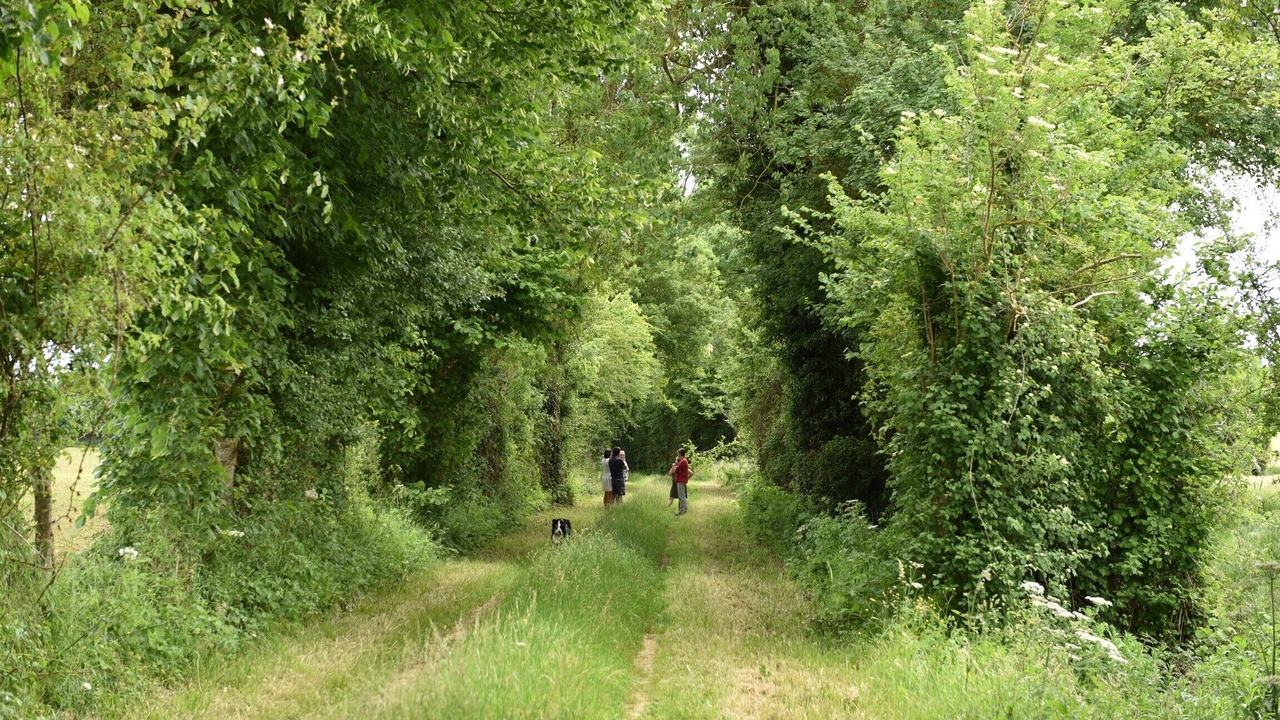 Photo of Outdoor in Sainte-Scolasse-sur-Sarthe