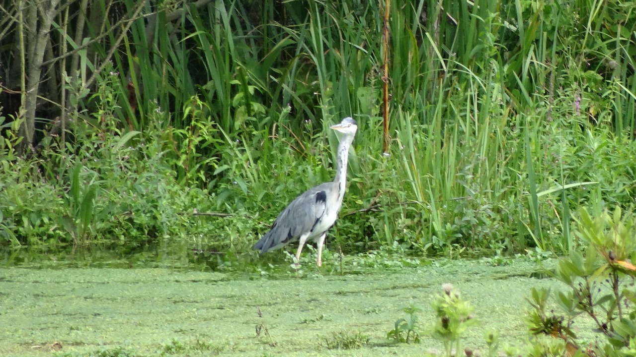 Photo of Outdoor in La Calotterie