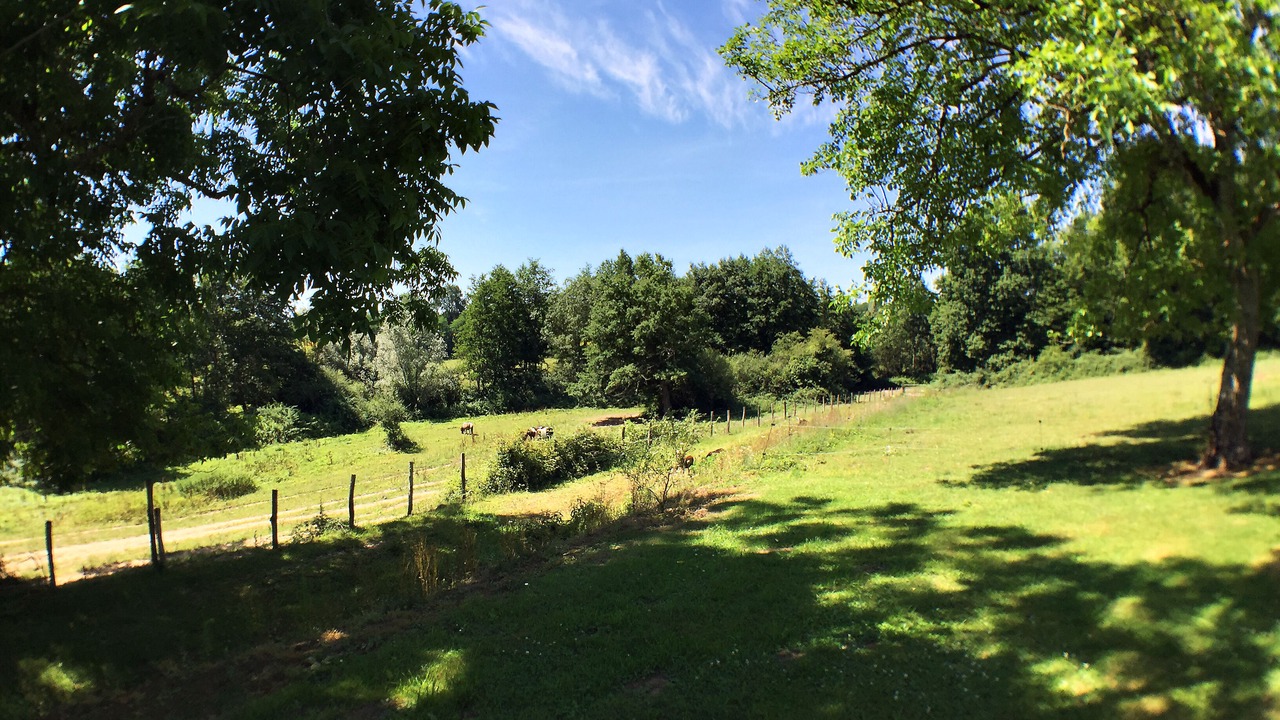 Photo of Others in Flacey-en-Bresse