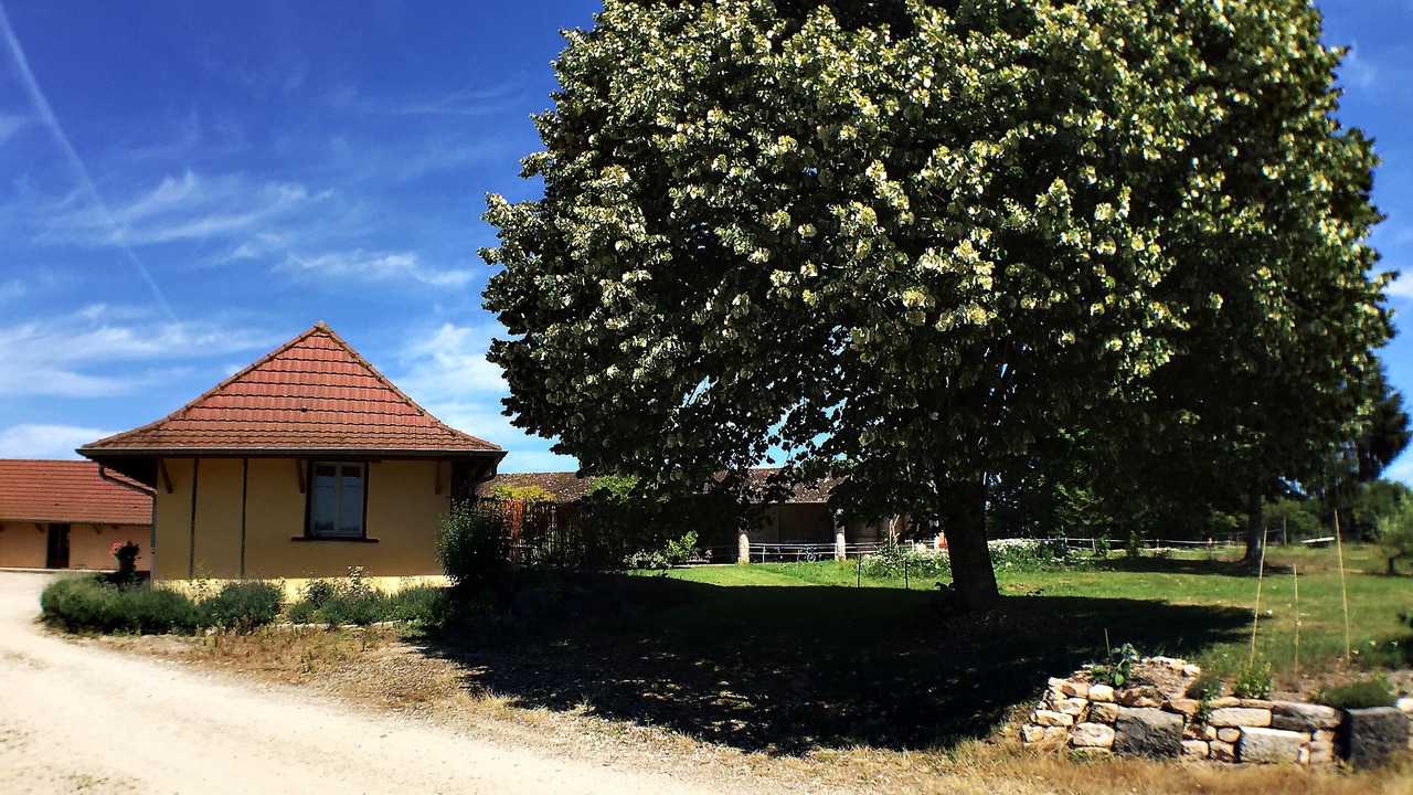 Photo of Outdoor in Flacey-en-Bresse