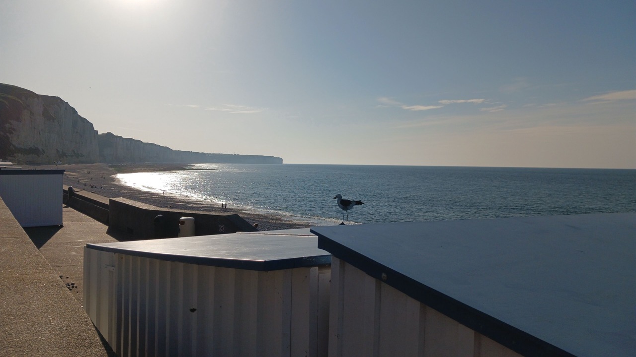 Photo of Outdoor in Bec-de-Mortagne