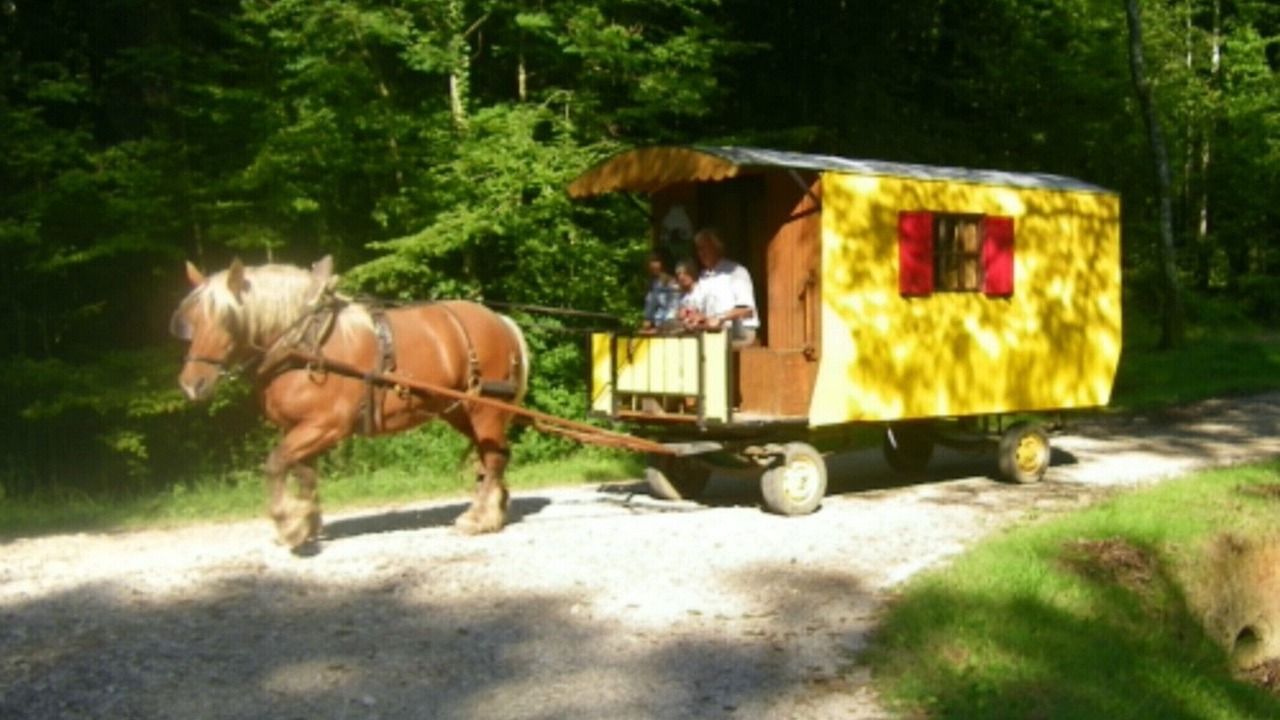 Photo of Outdoor in Ecleux
