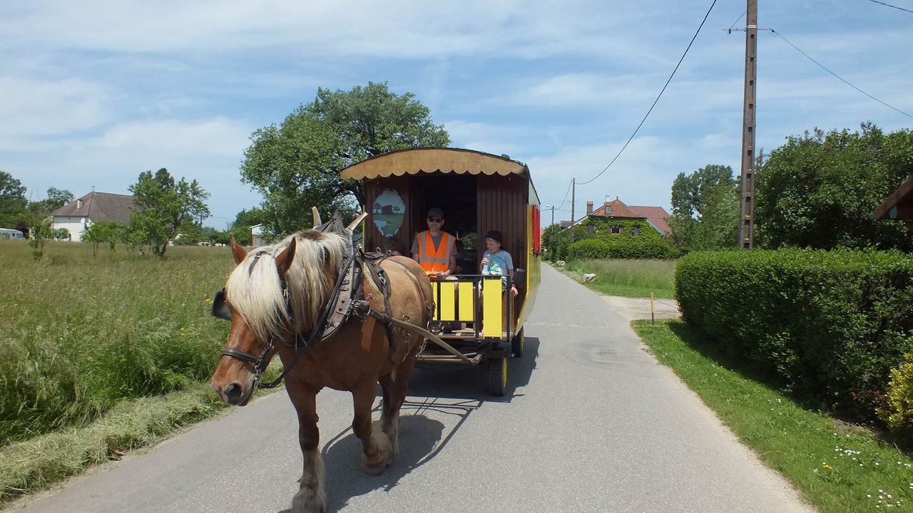 Photo of Outdoor in Ecleux