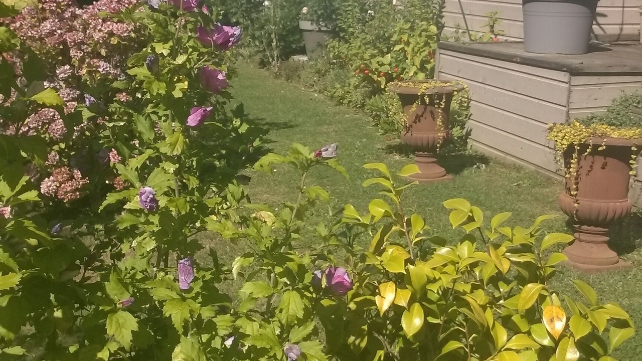 Photo of Outdoor in Veulettes-sur-Mer