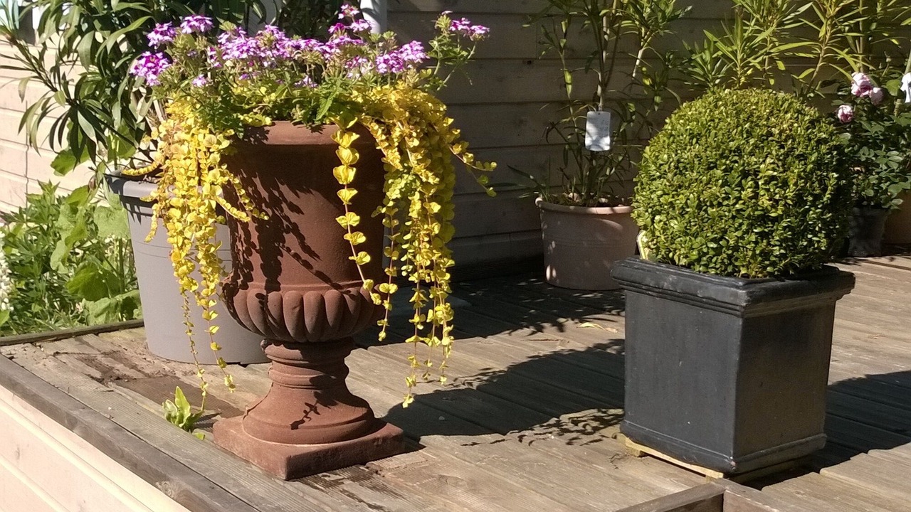 Photo of Outdoor in Veulettes-sur-Mer