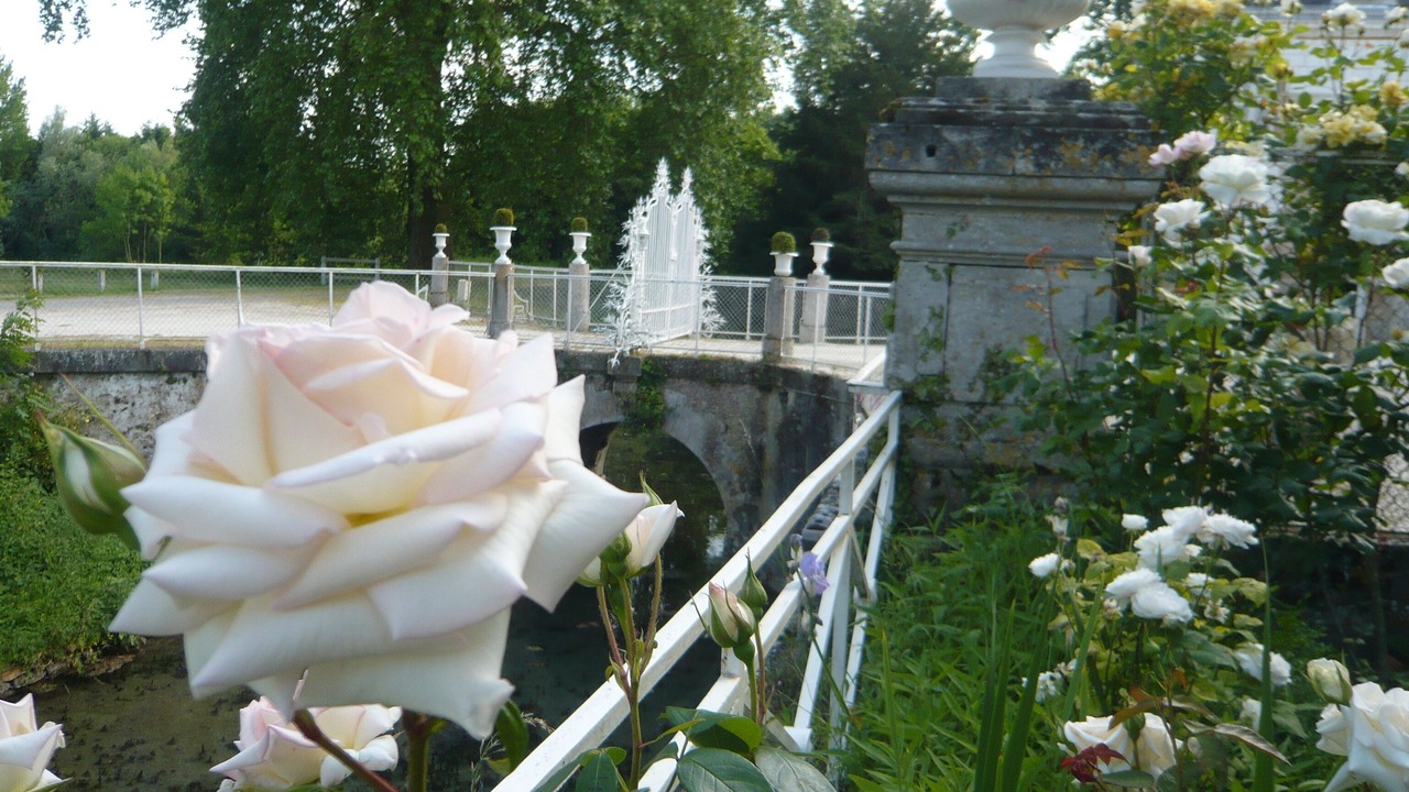 Photo of Outdoor in Juvigny