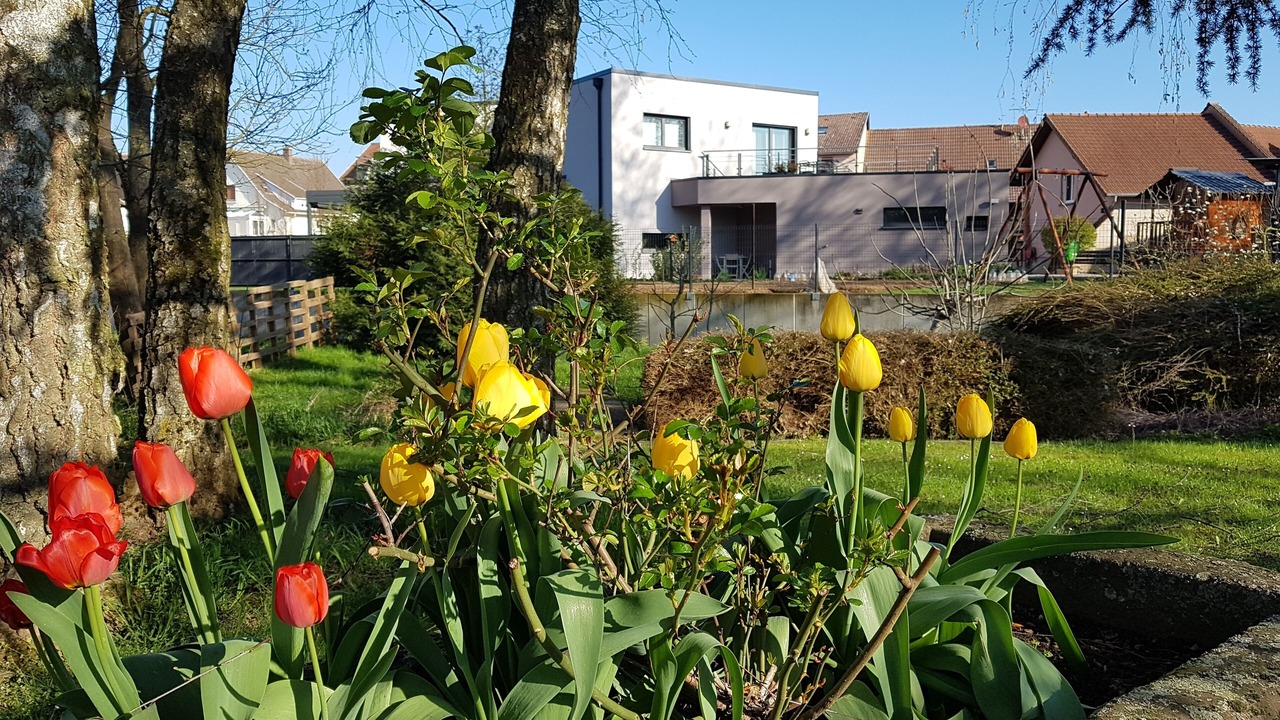 Photo of Outdoor in Lampertheim
