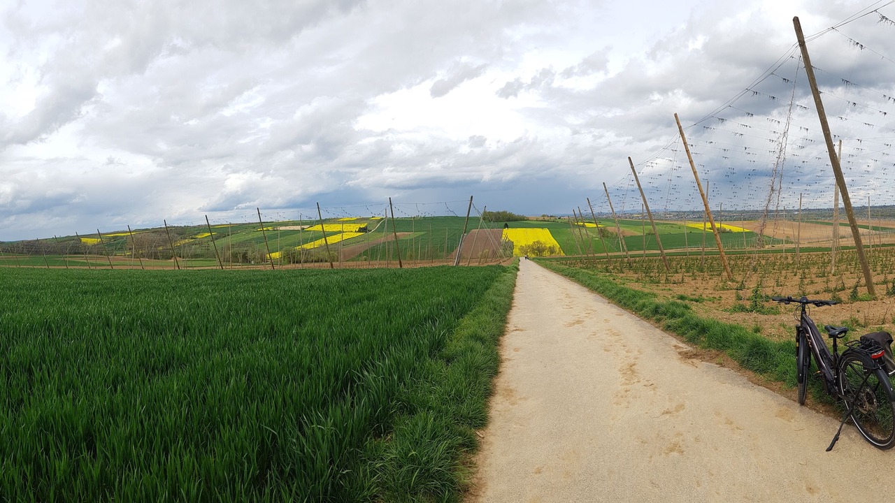 Photo of Outdoor in Lampertheim