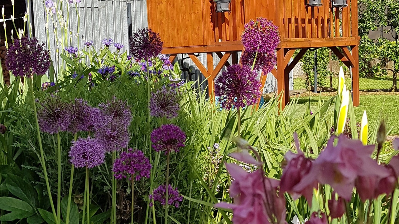 Photo of Outdoor in Lampertheim
