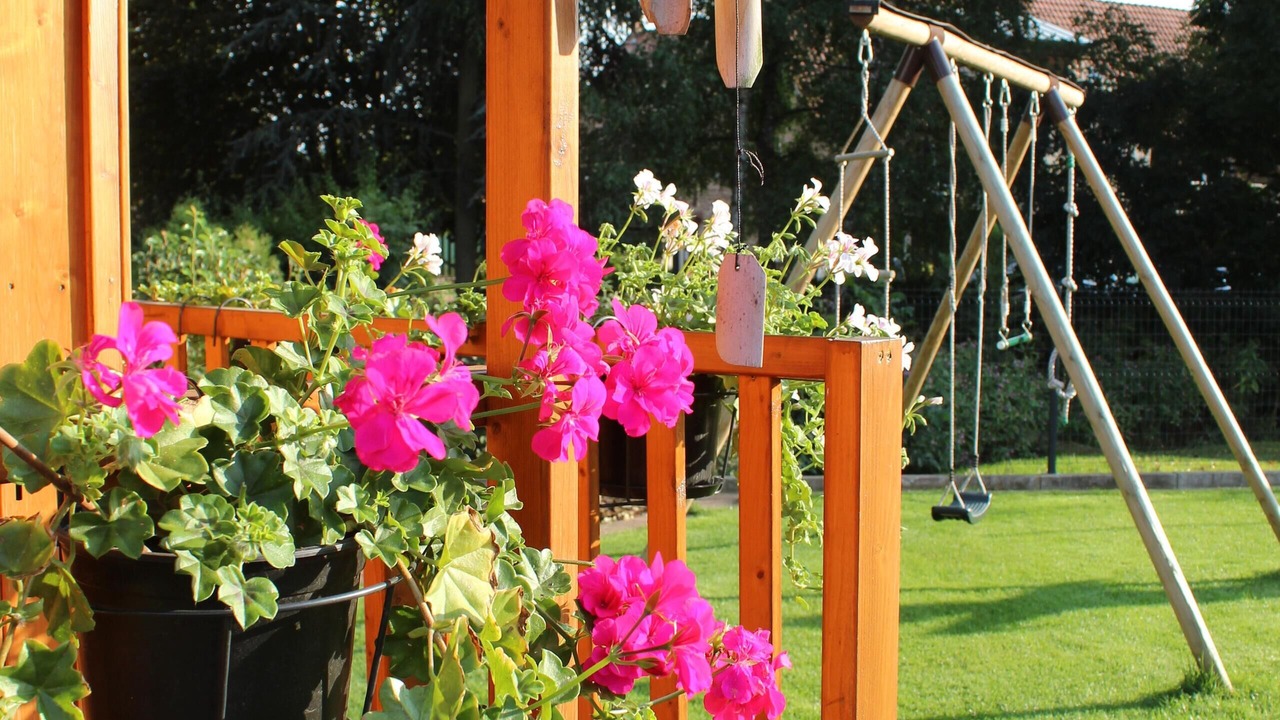 Photo of Outdoor in Lampertheim