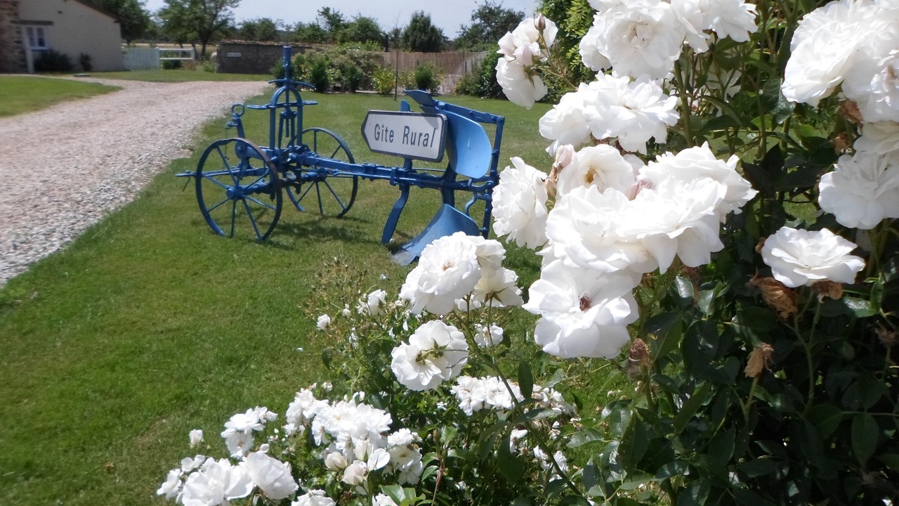 Photo of Outdoor in La Chapelle-Fortin
