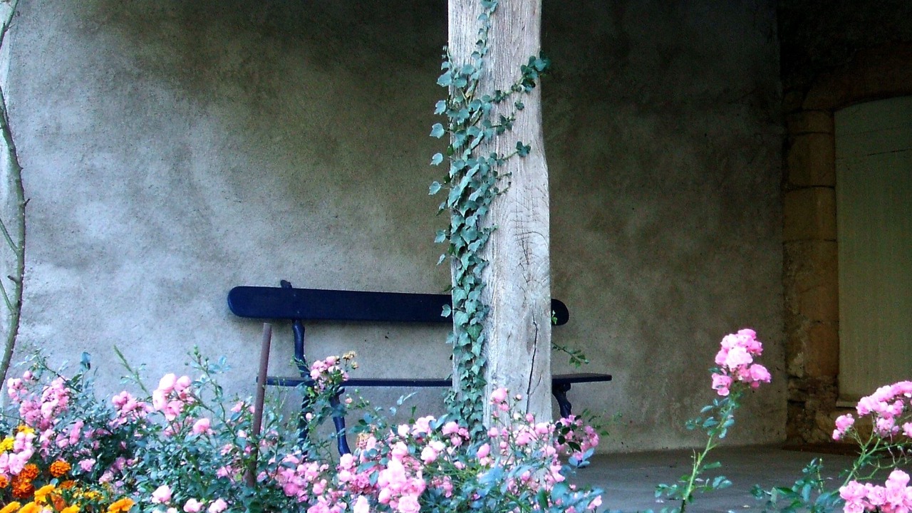Photo of Outdoor in Sainte-Marie