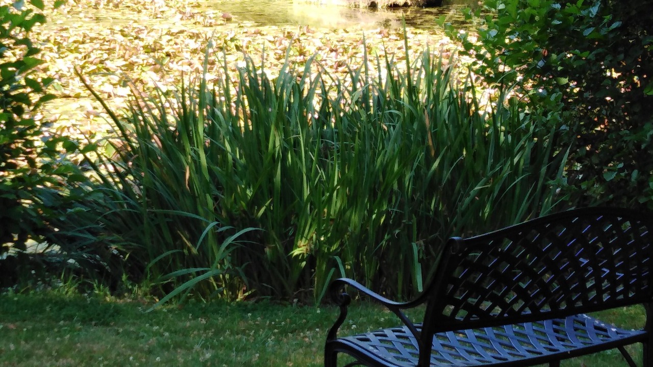 Photo of Outdoor in Fervaques