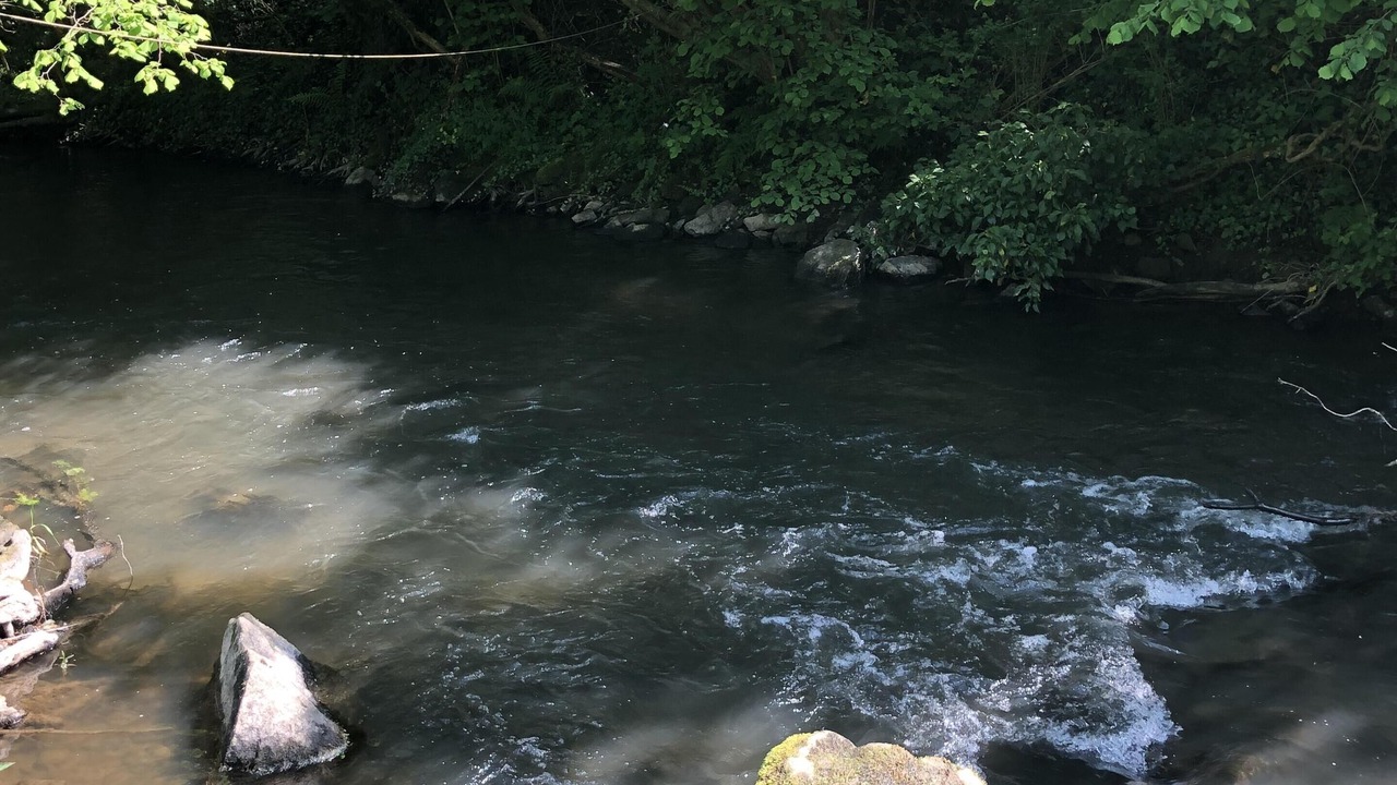 Photo of Outdoor in Saint-Pierre-d'Entremont