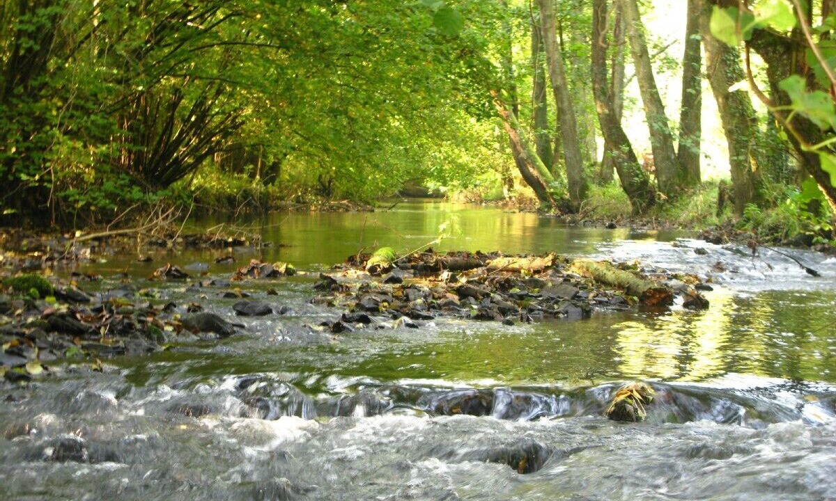 Photo of Outdoor in Saint-Pierre-d'Entremont