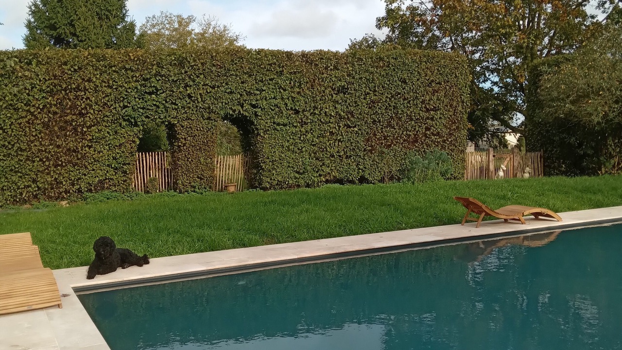 Photo of Outdoor in Saint-Philbert-des-Champs