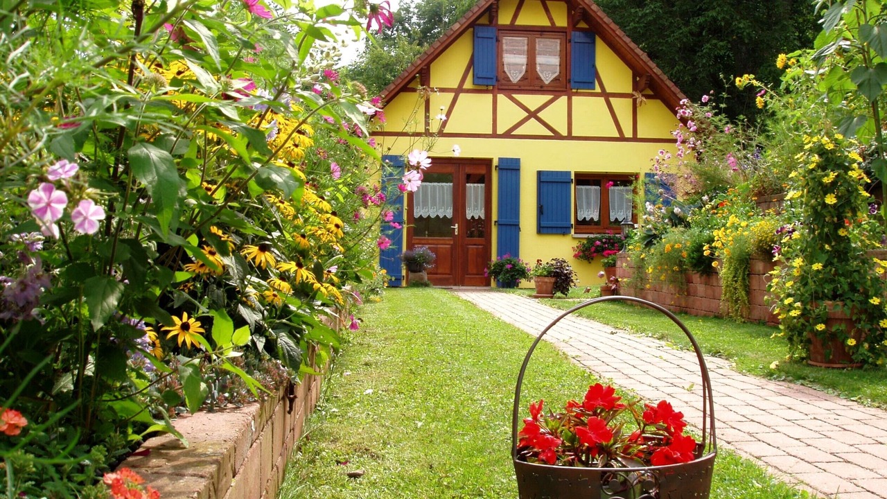 Photo of Outdoor in Mutzig