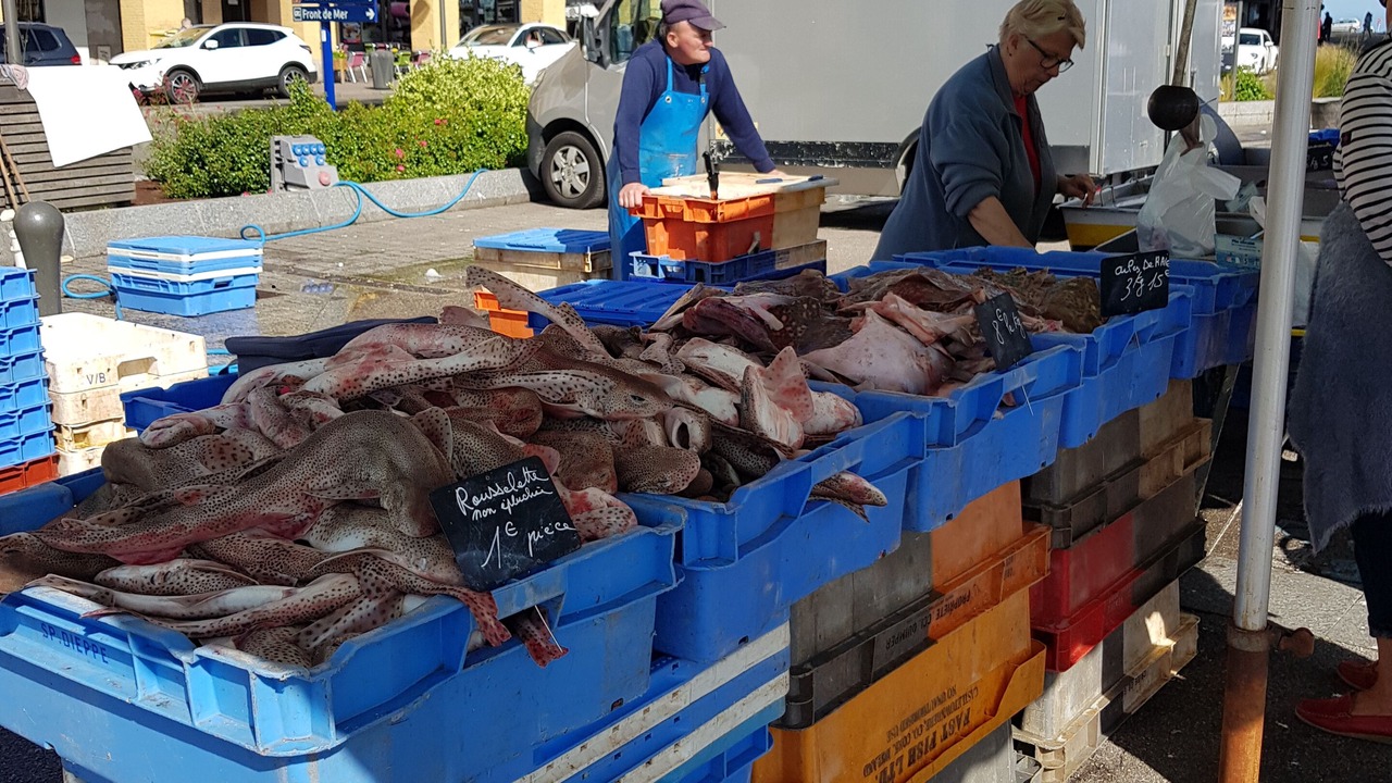 Photo of Outdoor in Dieppe