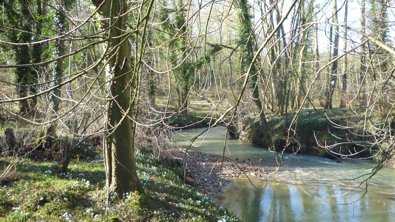 Photo of Outdoor in Wimille