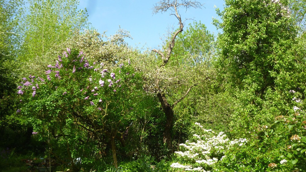 Photo of Outdoor in Wimille