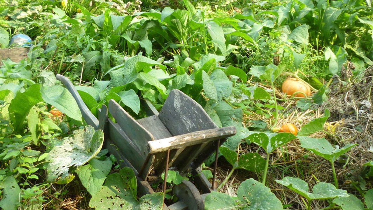 Photo of Outdoor in Wimille