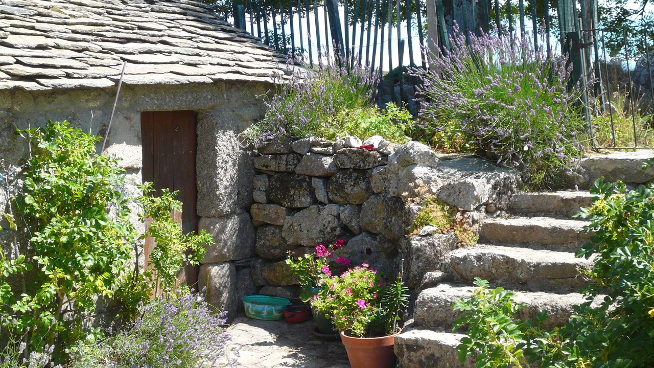 Photo of Others in Montselgues