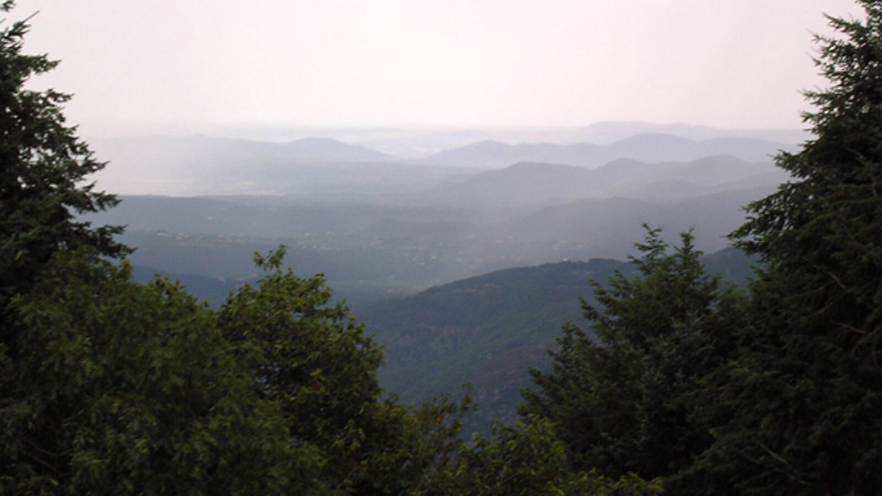 Photo of Others in Montselgues