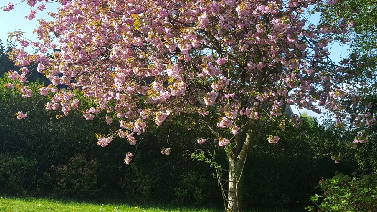Photo of Outdoor in Aubry-le-Panthou