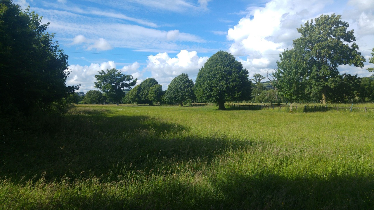 Photo of Others in Fontenay