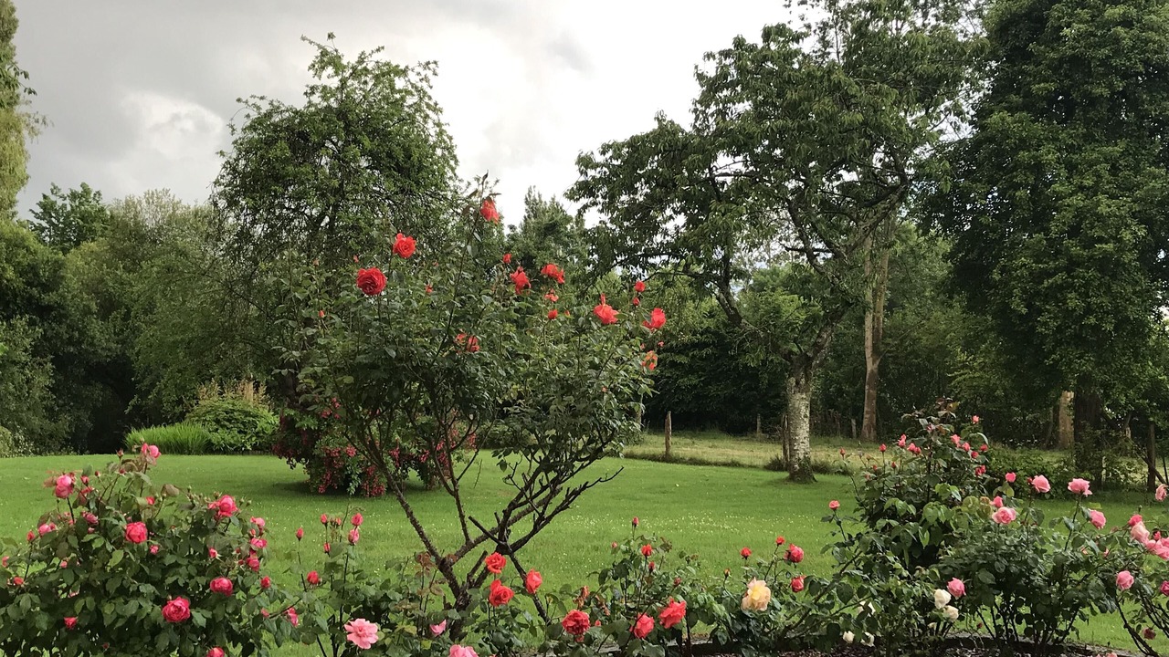 Photo of Outdoor in Manneville-la-Raoult