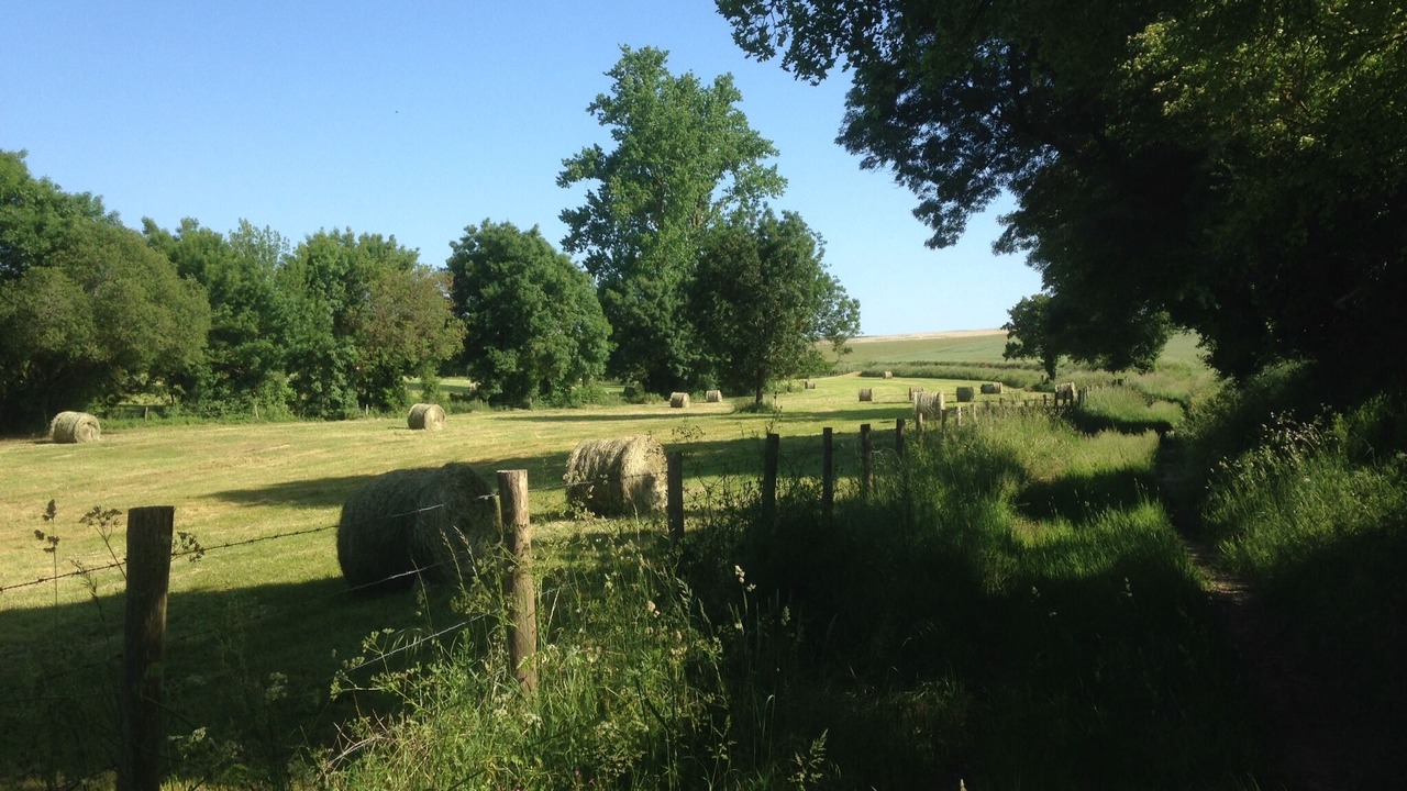 Photo of Others in Yviers