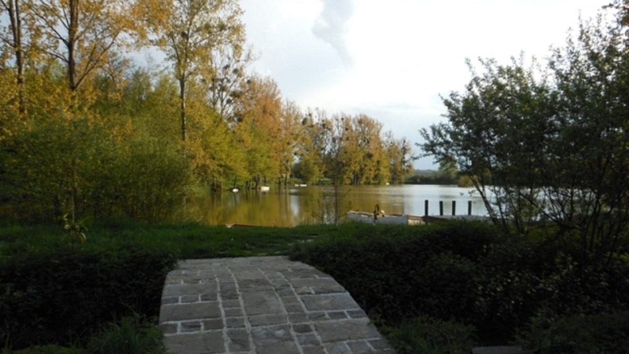 Photo of Outdoor in Courtenay