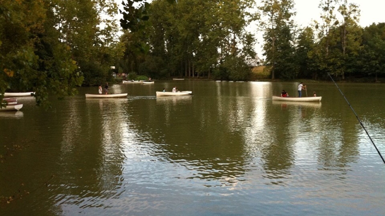 Photo of Outdoor in Courtenay