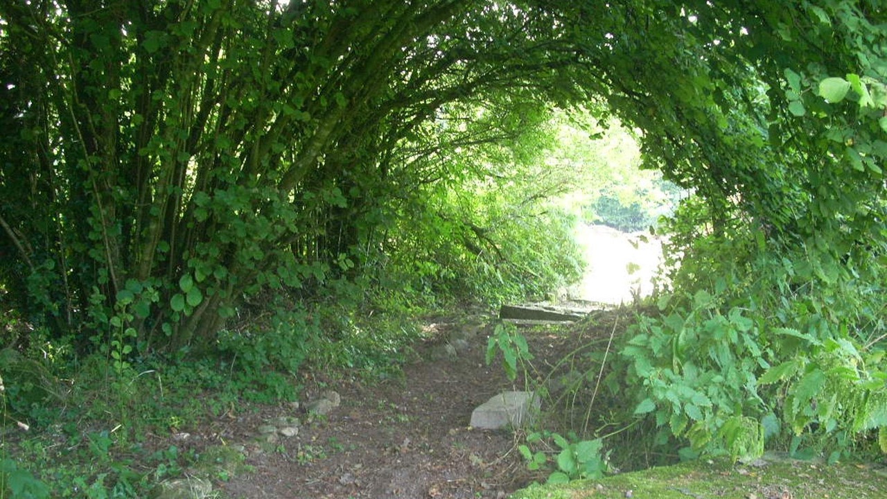 Photo of Outdoor in Saint-Michel-de-Montjoie