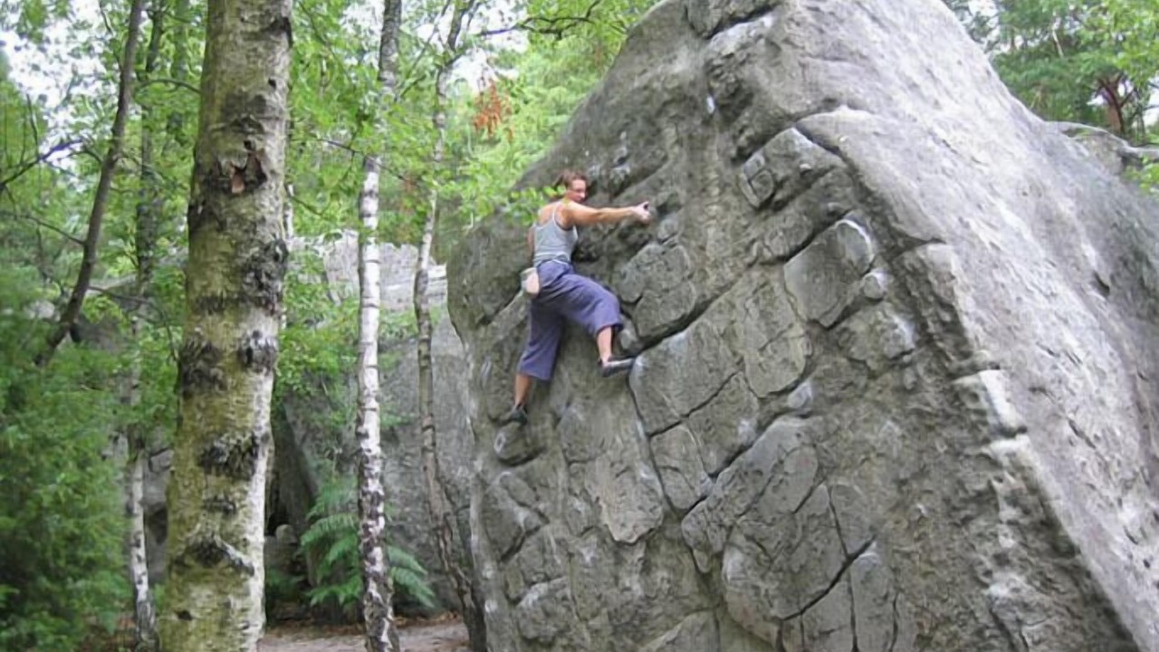 Photo of Others in Milly-la-Foret
