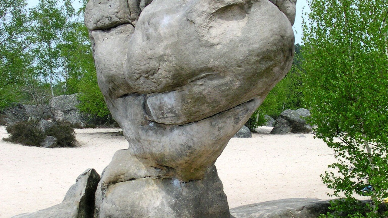 Photo of Others in Milly-la-Foret