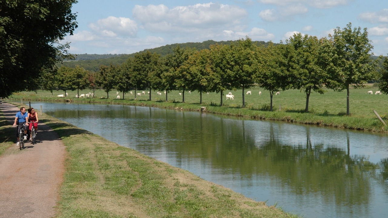 Photo of Outdoor in Bussy-le-Grand